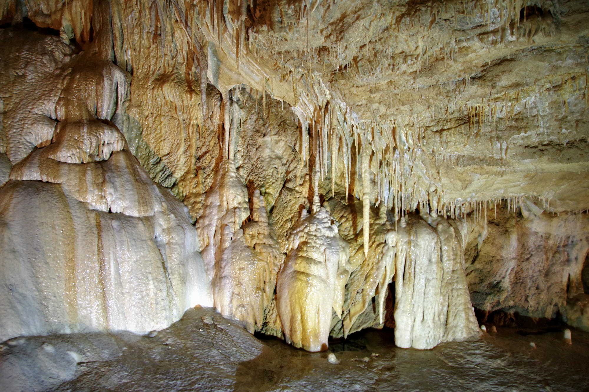 Jaskinia Niedźwiedzia w Kletnie